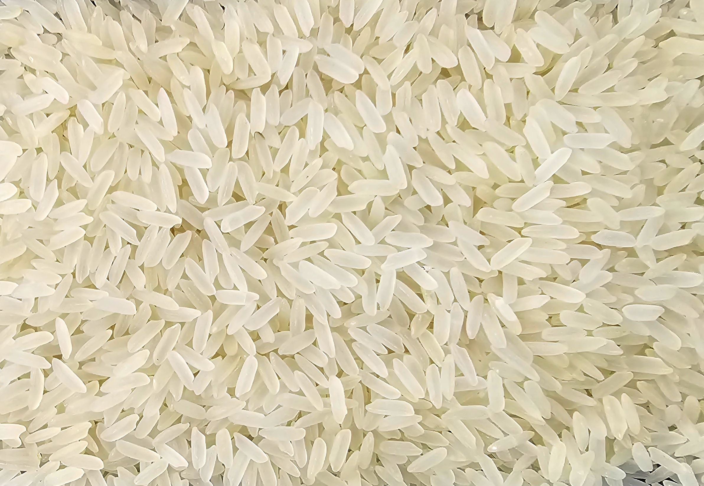 Parmal Sella Rice